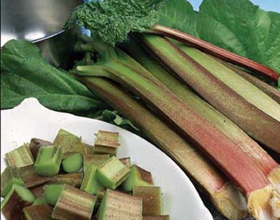 Timperley Early Rhubarb Crowns