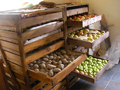 fruit in store