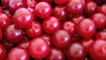 Cherry Plum