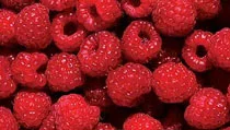 Raspberries