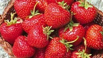 Strawberries