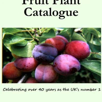 Chris Bowers' Specialist Fruit Plant Catalogue